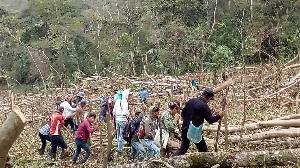 recuperan tierras tuxtla